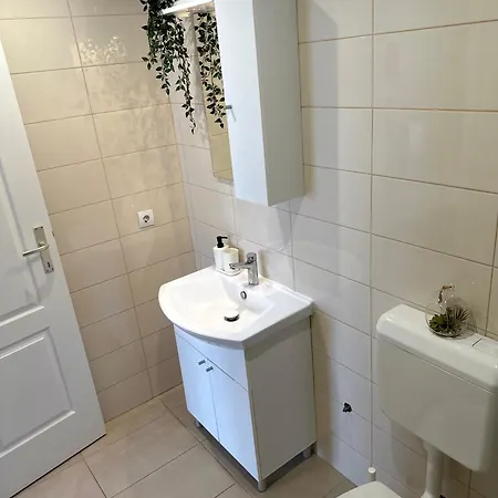 Guest house Pineta 3*